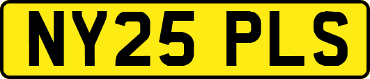 NY25PLS
