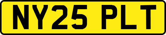 NY25PLT
