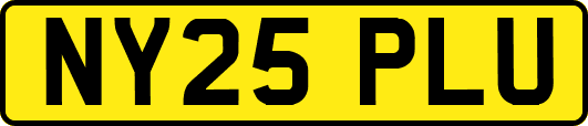 NY25PLU