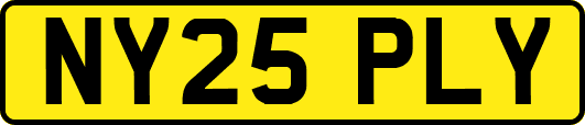NY25PLY