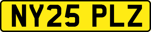 NY25PLZ