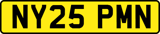NY25PMN