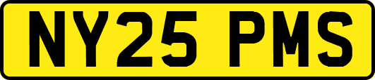 NY25PMS