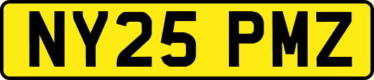 NY25PMZ