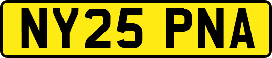NY25PNA