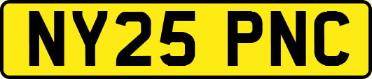 NY25PNC