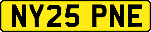 NY25PNE
