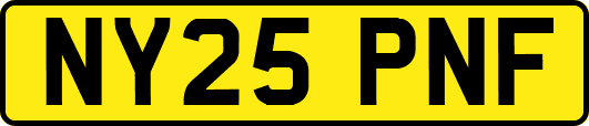NY25PNF