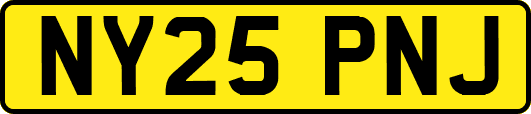 NY25PNJ