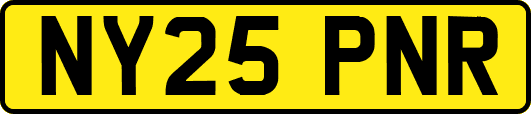 NY25PNR
