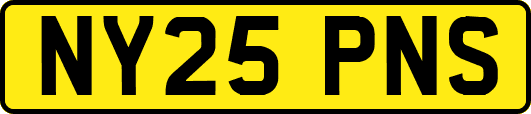NY25PNS