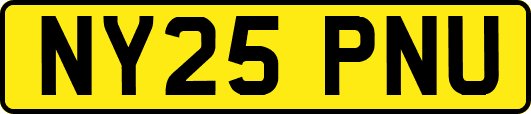 NY25PNU