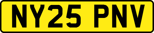 NY25PNV