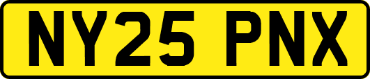 NY25PNX
