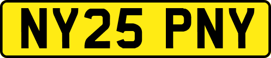 NY25PNY
