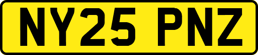 NY25PNZ