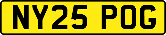 NY25POG