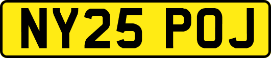 NY25POJ