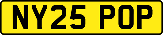 NY25POP