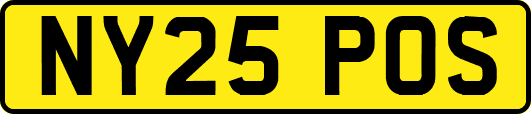 NY25POS
