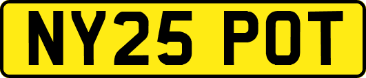 NY25POT