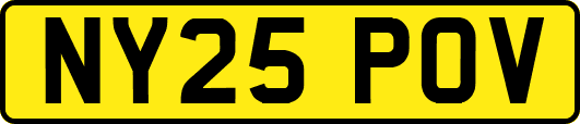 NY25POV