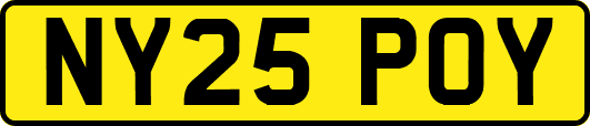 NY25POY