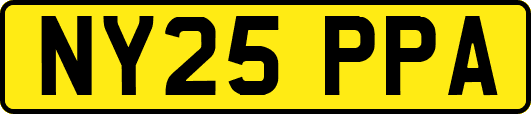 NY25PPA
