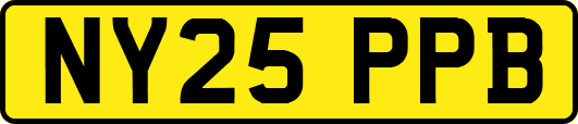 NY25PPB