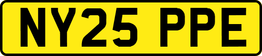 NY25PPE