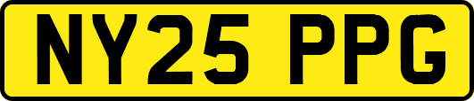 NY25PPG