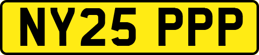 NY25PPP