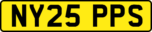 NY25PPS