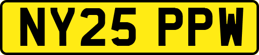 NY25PPW