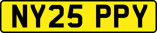 NY25PPY