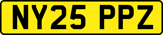 NY25PPZ