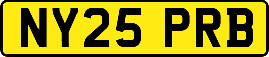 NY25PRB