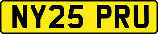 NY25PRU