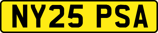 NY25PSA