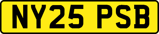 NY25PSB