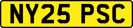 NY25PSC