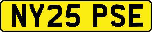 NY25PSE