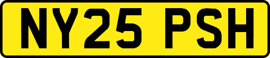 NY25PSH