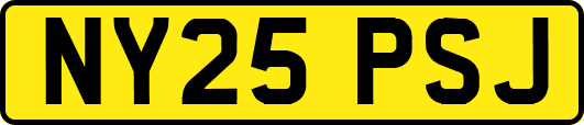 NY25PSJ