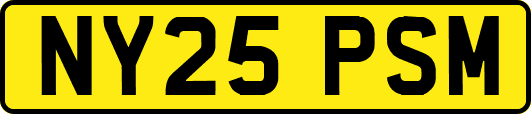 NY25PSM