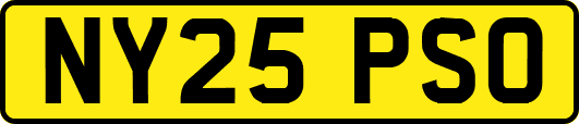 NY25PSO