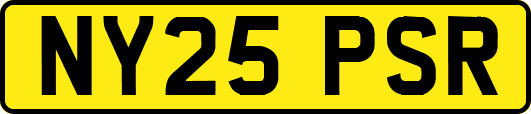 NY25PSR