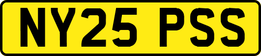 NY25PSS