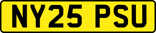 NY25PSU