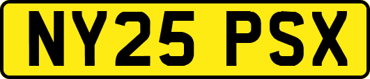 NY25PSX